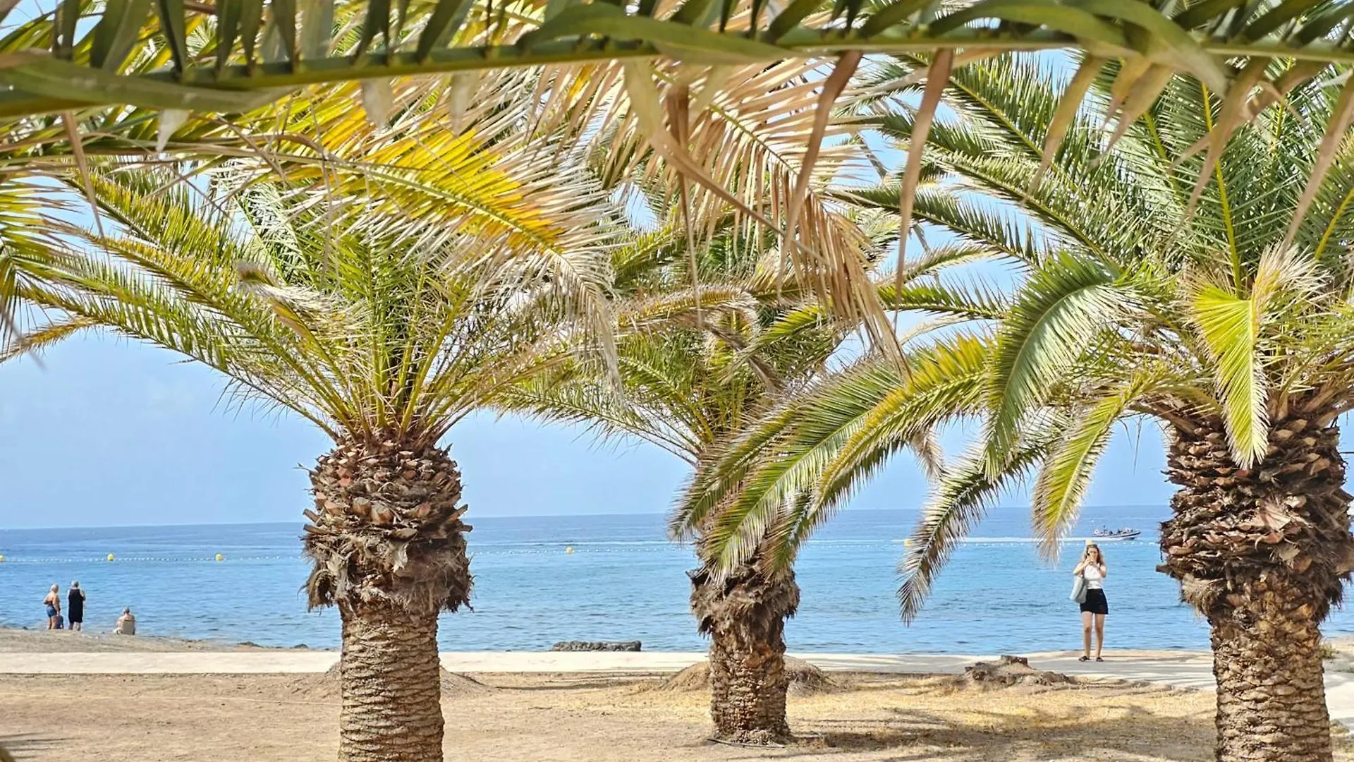 New Ocean Symphony, Cristianos Beach Arona  Arona (Tenerife)