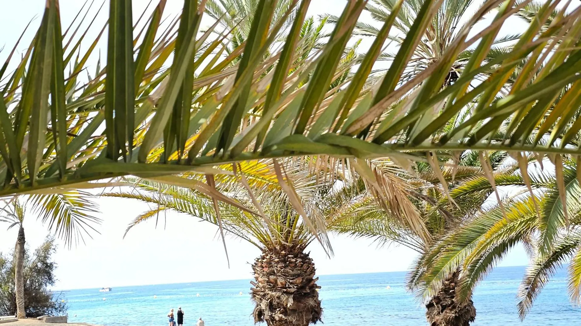 Apartment New Ocean Symphony, Cristianos Beach Arona